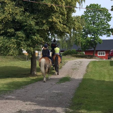 Cozy Lodge At Horse Farm With Lake And Sauna Holo  Eksteriør billede