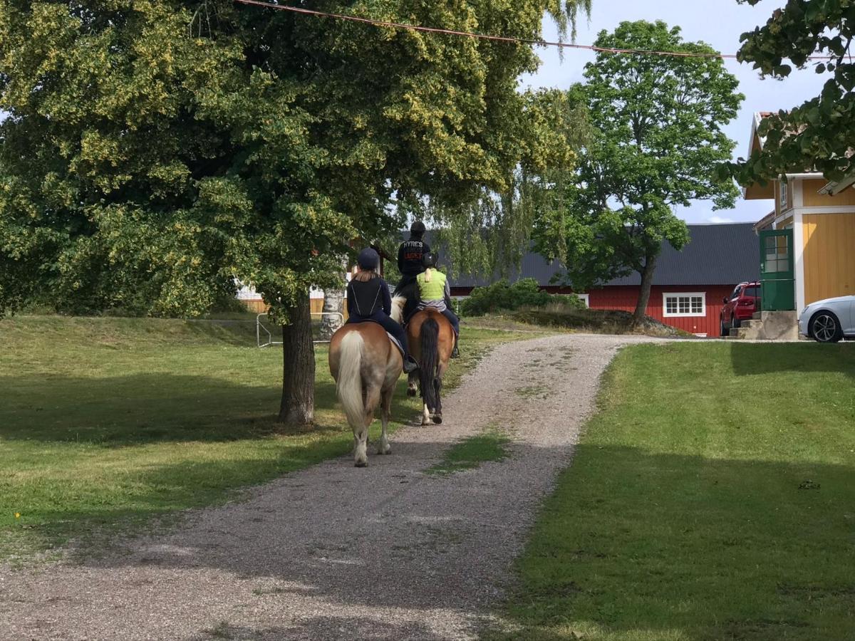 Cozy Lodge At Horse Farm With Lake And Sauna Holo  Eksteriør billede